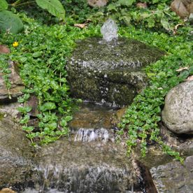Romantische tuin met waterval