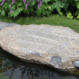 Moderne vijver met natuurlijke steen