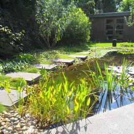 Tuin met weelderige vijver