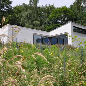 Bloemrijke tuin zorginstelling