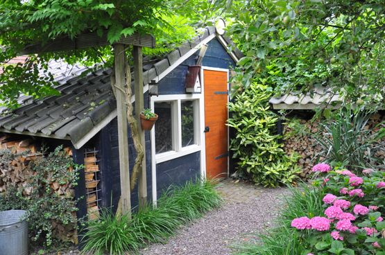 Wilde tuin met tuinhuisje