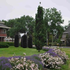 Bloemrijke tuin appartementencomplex