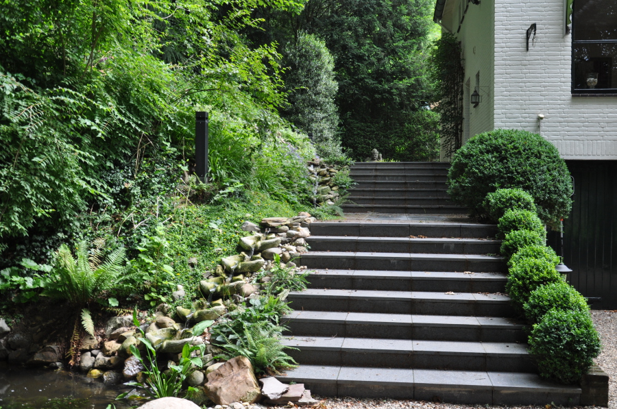 Wilde tuin met stenen trap