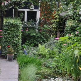 Weelderige tuin bij dijkwoning