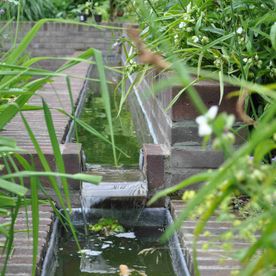 Strakke vijver Arnhem-Noord