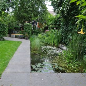 Tuin met vijver dijkwoning